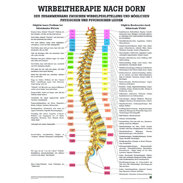 Anatomische Lehrtafel \"Wirbeltherapie nach Dorn 34 x 24\"